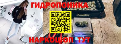прущие грибы Аша