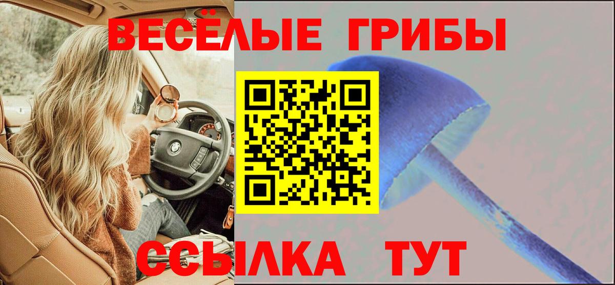 Галлюциногенные грибы ЛСД Баксан